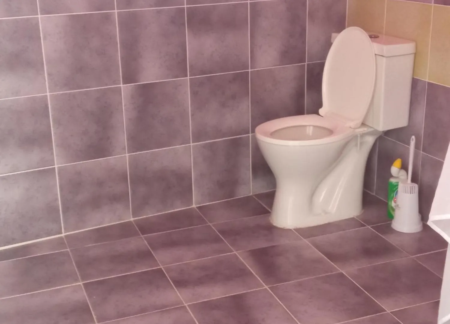 Ubytování v soukromí Apartmán Chez Alizhia Nuku Hiva